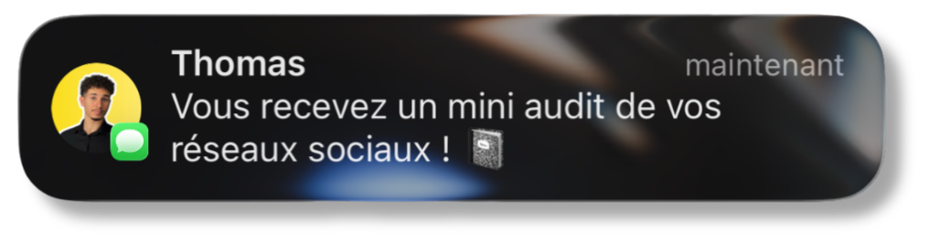 Thomas : vous recevez un mini audit de vos réseaux sociaux !